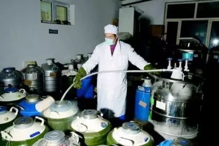液氮特殊用途_液氮的应用范围_液氮的作用与用途