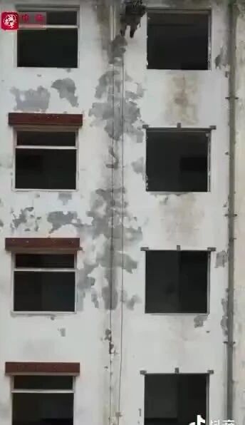 李艳楠的军旅生涯⭐代表2023届黄海毕业生发言的她，竟是特战“霸王花”！