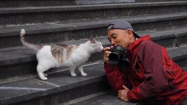 日本最著名的猫奴 他若称第二 谁敢称第一 日剧村 微信公众号文章阅读 Wemp