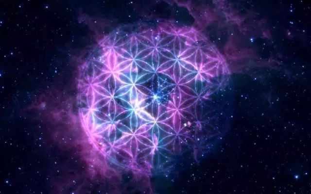 让生命之花在技能赛场上绚丽绽放——金牌选手王哓莹的成长故事
