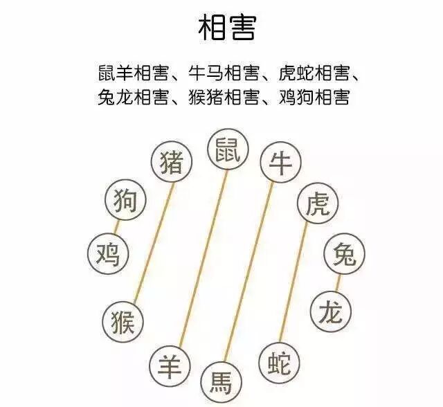 知识|男女最佳的生肖配对,你和哪个属相最配?