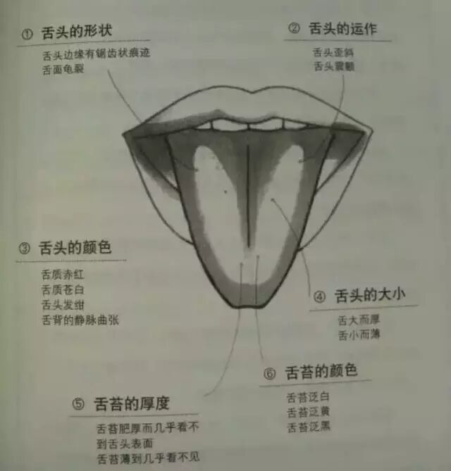 [转载]道医望诊精华图解