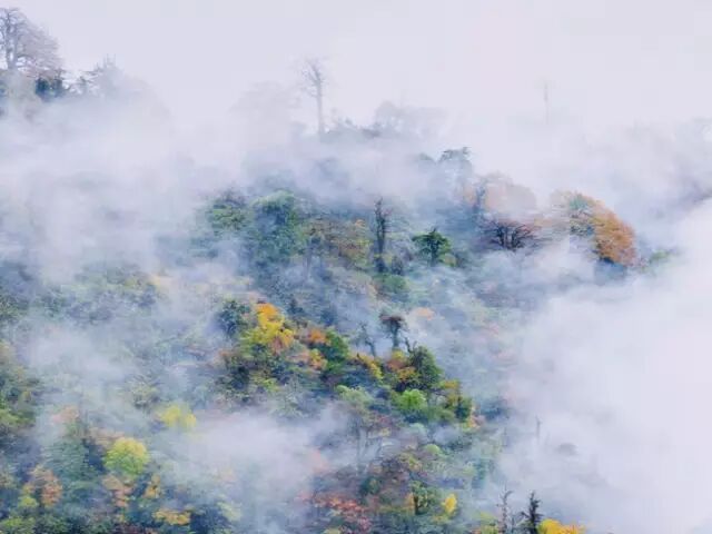 南宁属于省还是市_青海属于什么省什么市_宜宾市属于哪个省