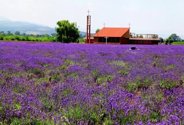 宜宾市属于哪个省_青海属于什么省什么市_南宁属于省还是市
