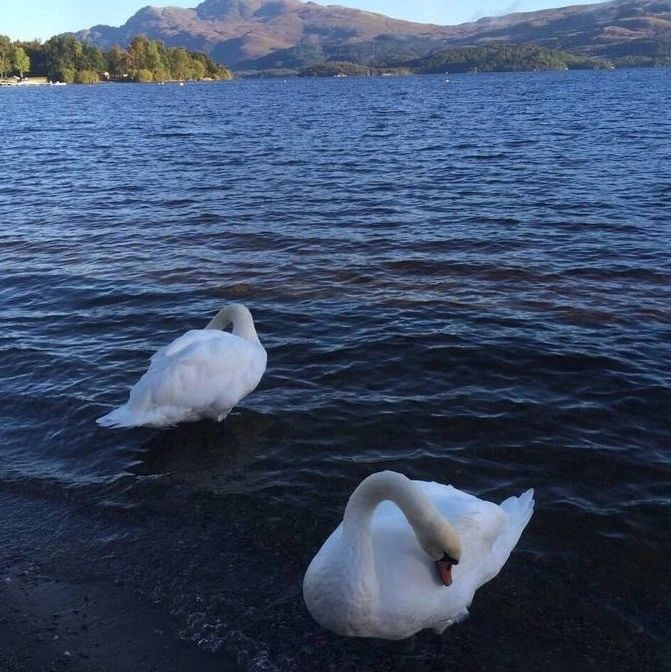 Ronan Hardiman《Loch Lomond》