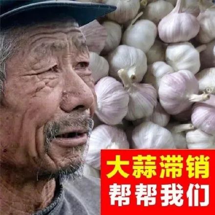 "滞销大爷"后继有人!这妹子一年流下的眼泪可以灌满太平洋