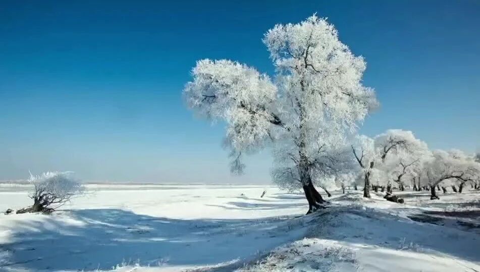 视听 || 蔡青青朗诵：《雪》-1