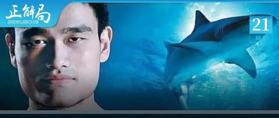 姚明被骗13年:呼吁中国人不吃鱼翅,鲨鱼为何更濒危?