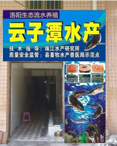 洛阳云子潭水产养殖公司乳源云子潭水产店开业了