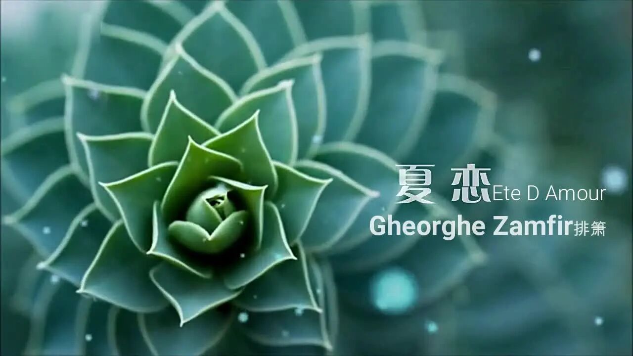 今日夏至，祝福·问候-1