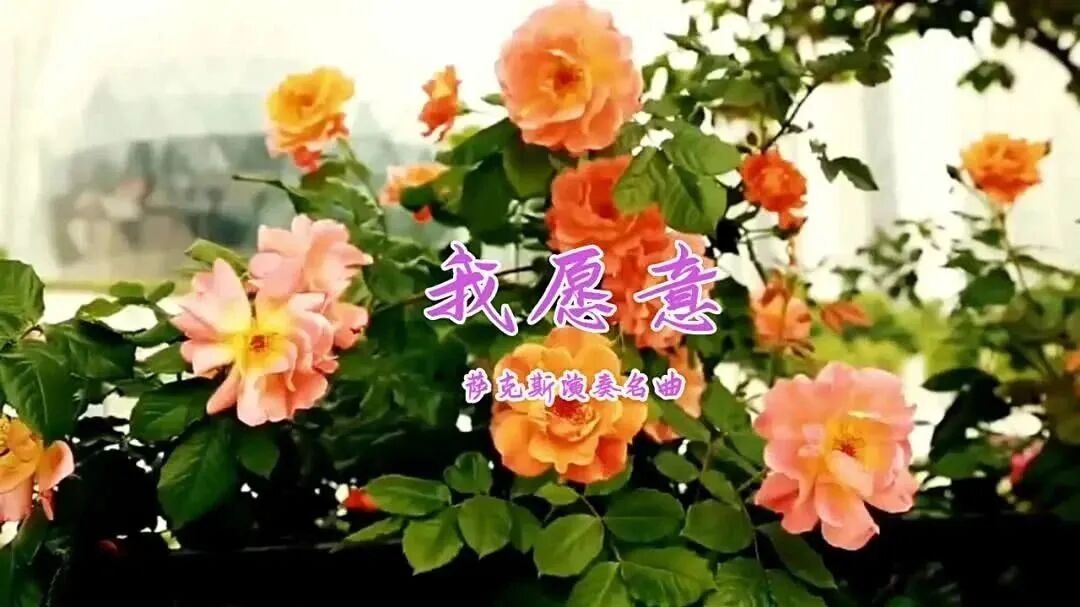 晨曦曲·早安｜（02月27日）