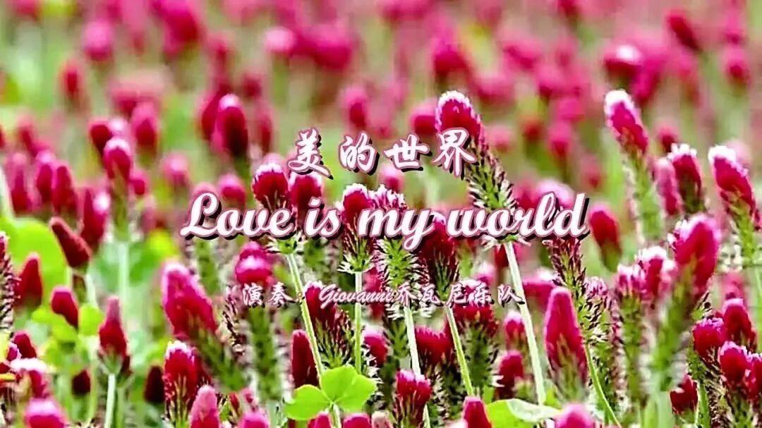 《美的世界》⭐早安 心语