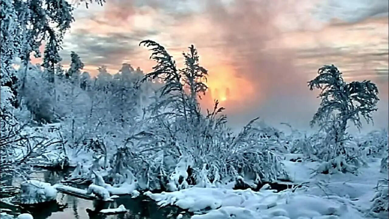 今日小雪，祝福·问候-2