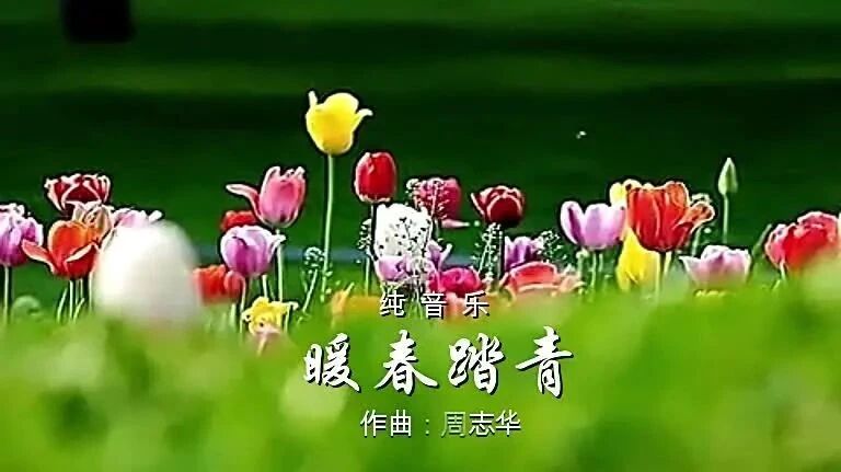 晨曦曲·早安｜（04月29日）