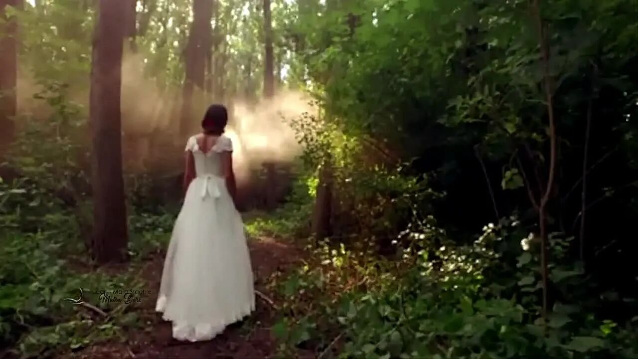 《金色早晨》⭐早安 心语