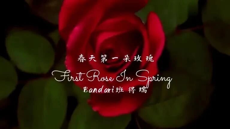 晨曦曲·早安｜（03月04日）