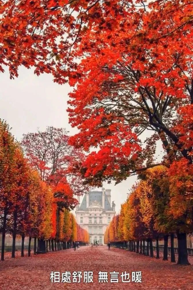 收录于合集⭐相处舒服，无言也暖！