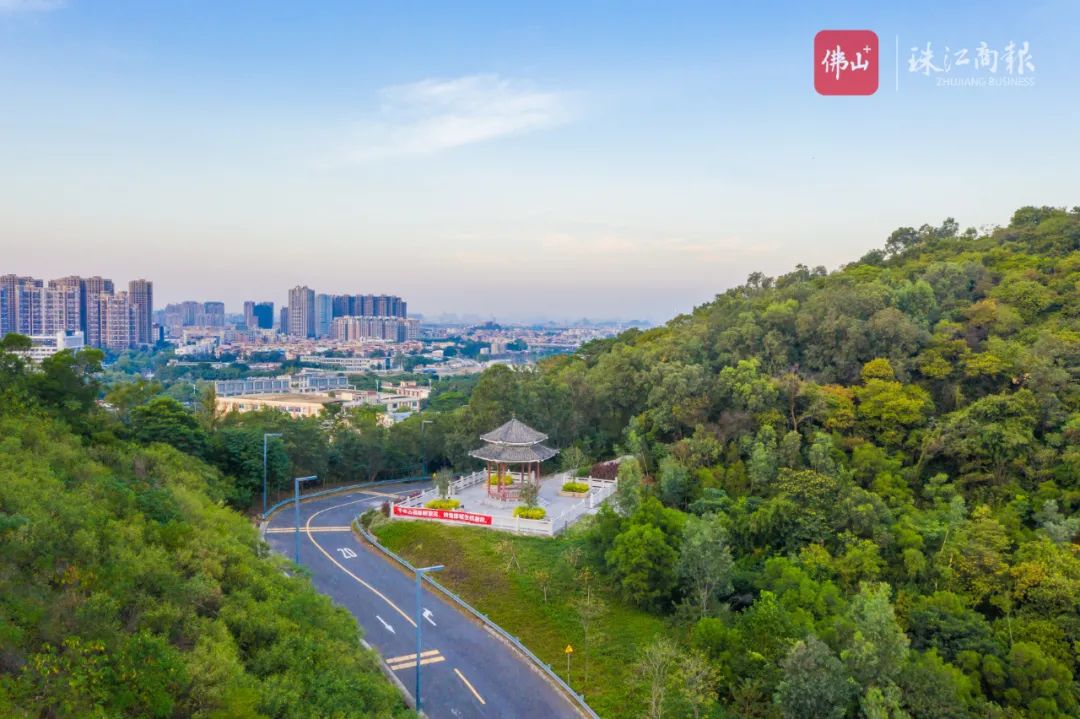 不负秋日暖阳佛山这个约1600个篮球场大的森林公园风景独好