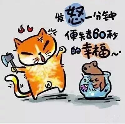 15个人生歪理,歪的很有道理!非常有才,值得一看!