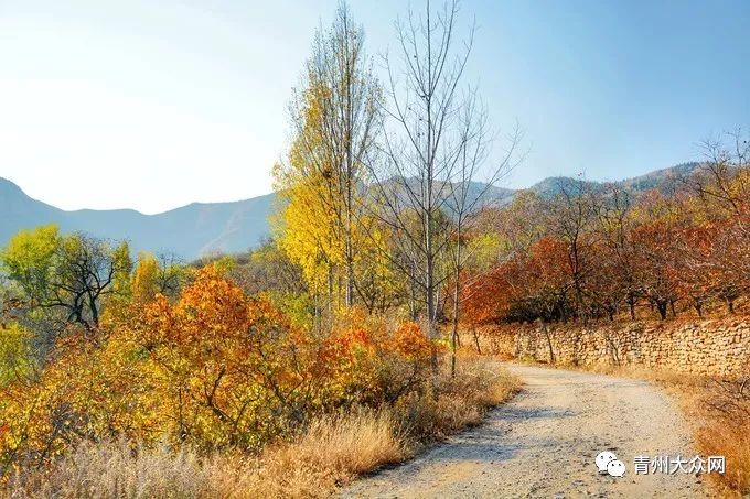 在青州南部山区,竟然藏着一个如画的小山村!