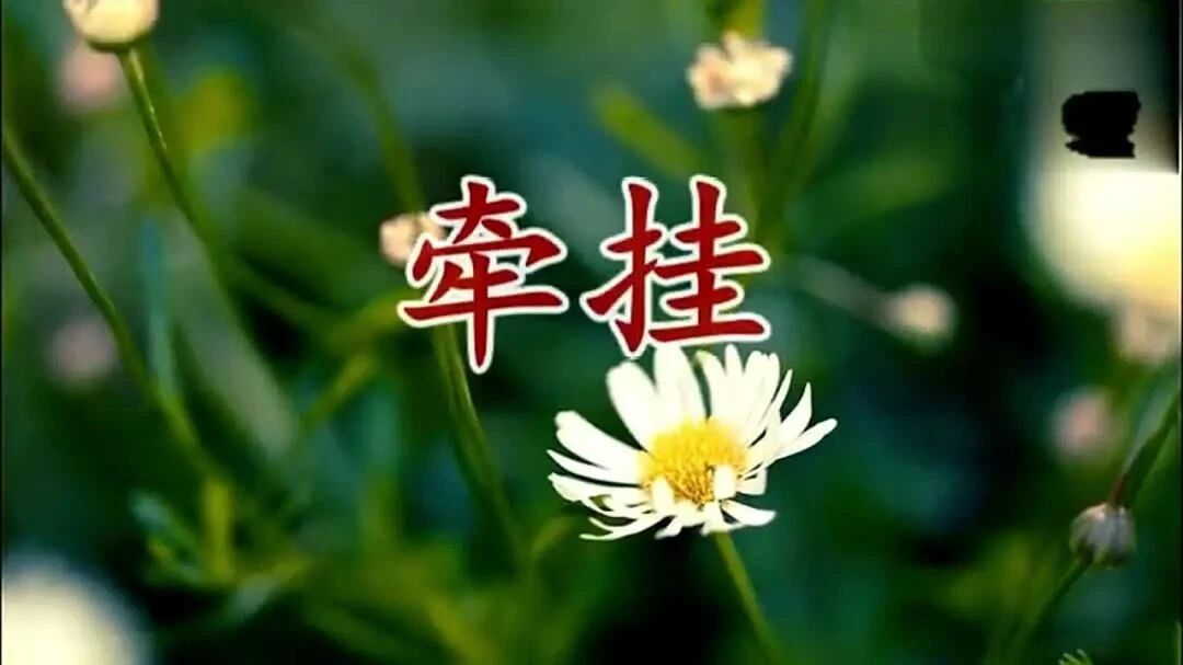 今日小寒，致我最牵挂的人