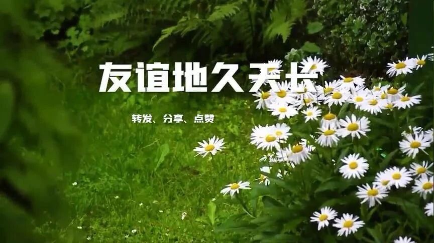 一首《友谊地久天长》送给朋友们，告别过去，拥抱新年