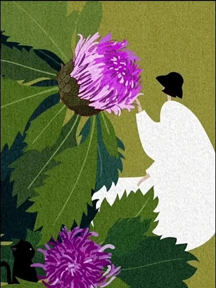 唯美音画：精美时尚插画