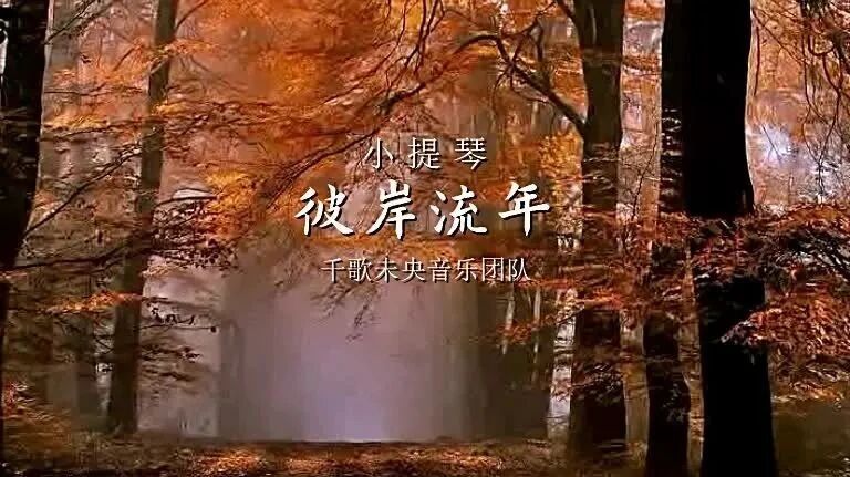 小提琴《彼岸流年》彼岸花开，只为流年