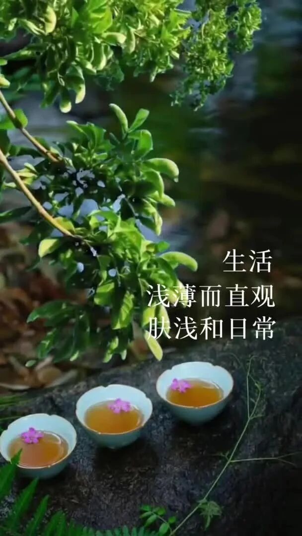 情景文案：生活浅薄而直观，肤浅和日常