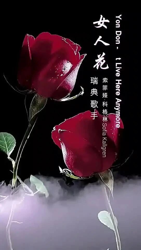 女人如花，尽显芳华｜女神节，最美的祝福！