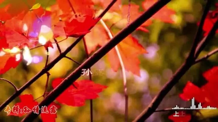 霜降：祝福·问候-1