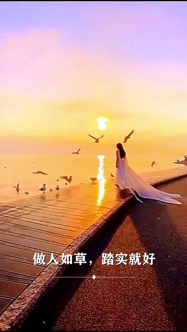 情景文案：做人如草，踏实就好