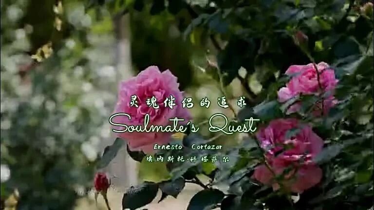 钢琴曲《Soulmate´s Quest》旋律优雅