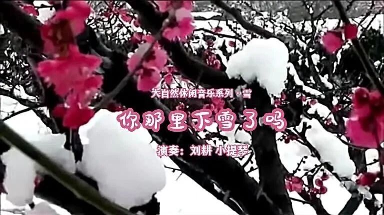 大自然休闲音乐系列·雪《你那里下雪了吗》刘耕：小提琴