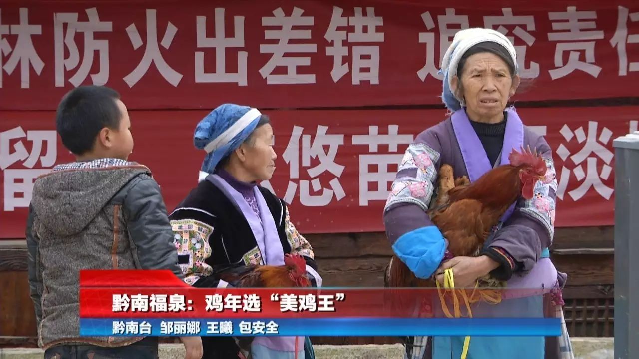 糯米的趣味生活怎样制作_糯米的有趣生活_我要看糯米的趣味性生活