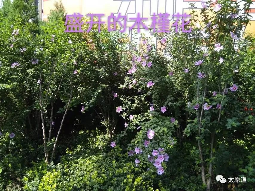 太原铜厂记忆澳博注册网站平台——我的国企生涯 太原铜厂记忆澳博注册网站平台——我的国企生涯