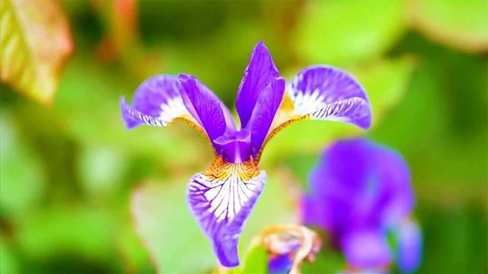 收录于合集⭐美丽的星期二，七夕节快乐！