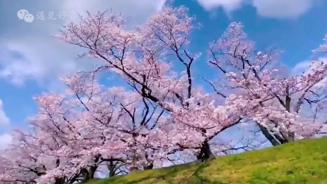 收录于合集⭐星期一，早上好！