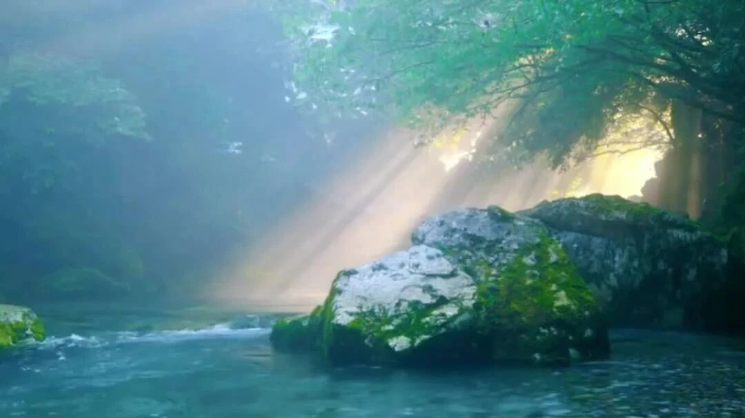 赠人玫瑰，手有余香！如果喜欢，请点在看~👇👇👇⭐溪水潺潺，幽幽鸟鸣，天籁之音！