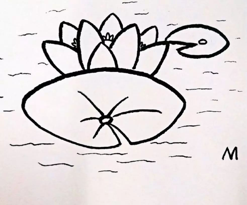 小学画画|河北简教程绘画笔画步骤,夏天来了,教你画美丽的荷花荷花花卉保定图片