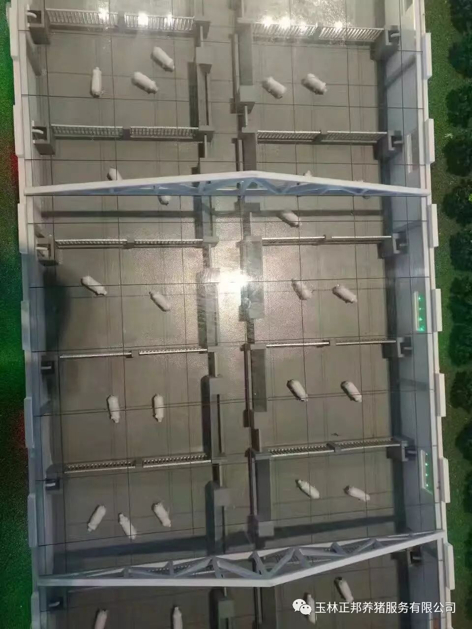 正邦集团生态养殖场建设