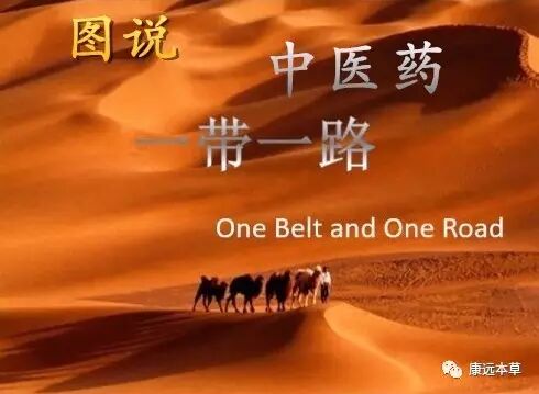 ͼ˵����ҽҩ�߹��ġ�һ��һ·��