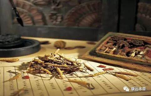 ��ҽҩ������һ��һ·���ϵġ��������顱