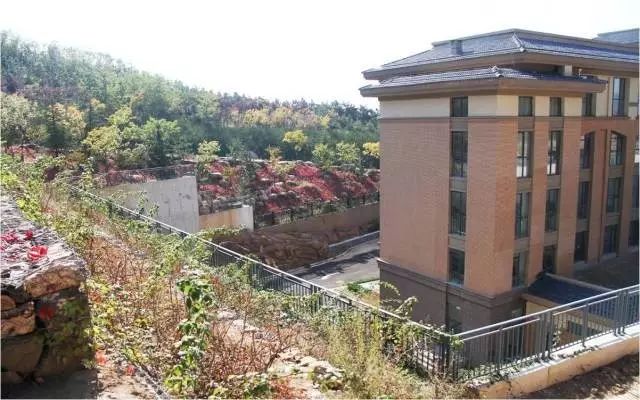 青岛启慧双语学校