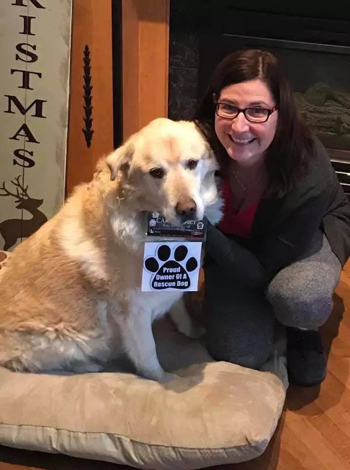 一年減90斤肉，這只太肥差點被安樂死的金毛，堪稱最勵志的狗界彭于晏！ 寵物 第10張