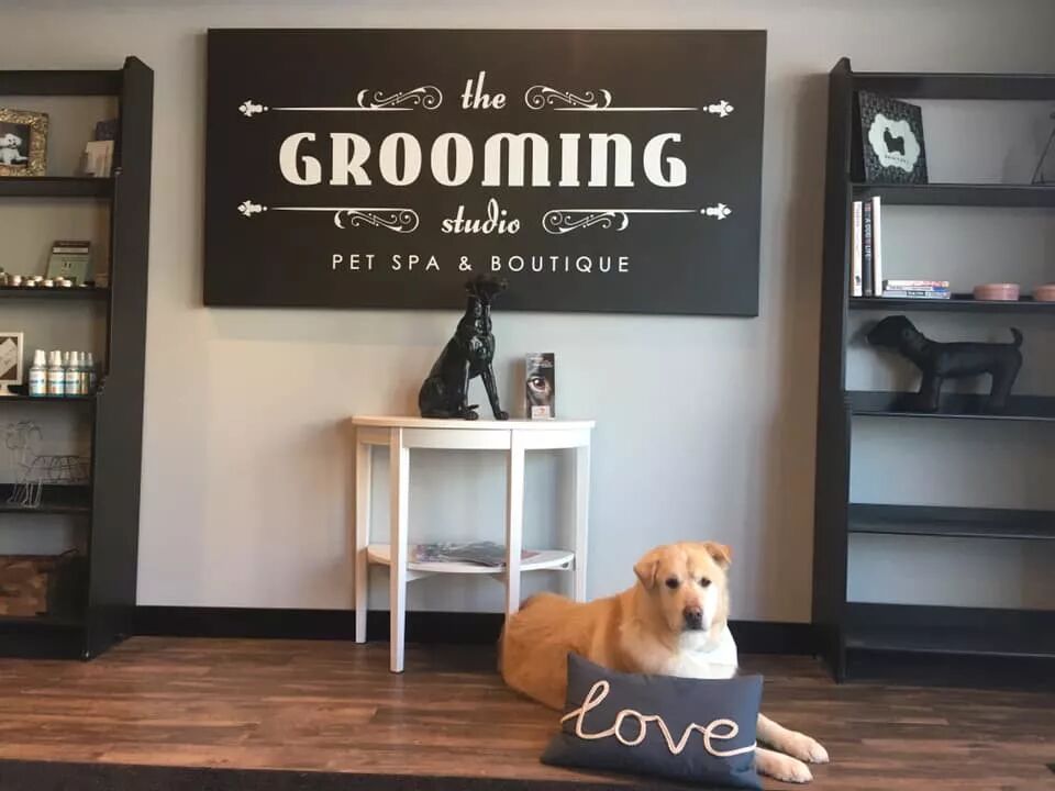 一年減90斤肉，這只太肥差點被安樂死的金毛，堪稱最勵志的狗界彭于晏！ 寵物 第2張