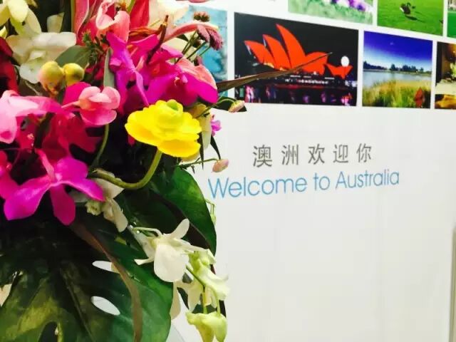 干货分享（上海东方卫视董事长简介）上海东方卫视负责人，(图2)