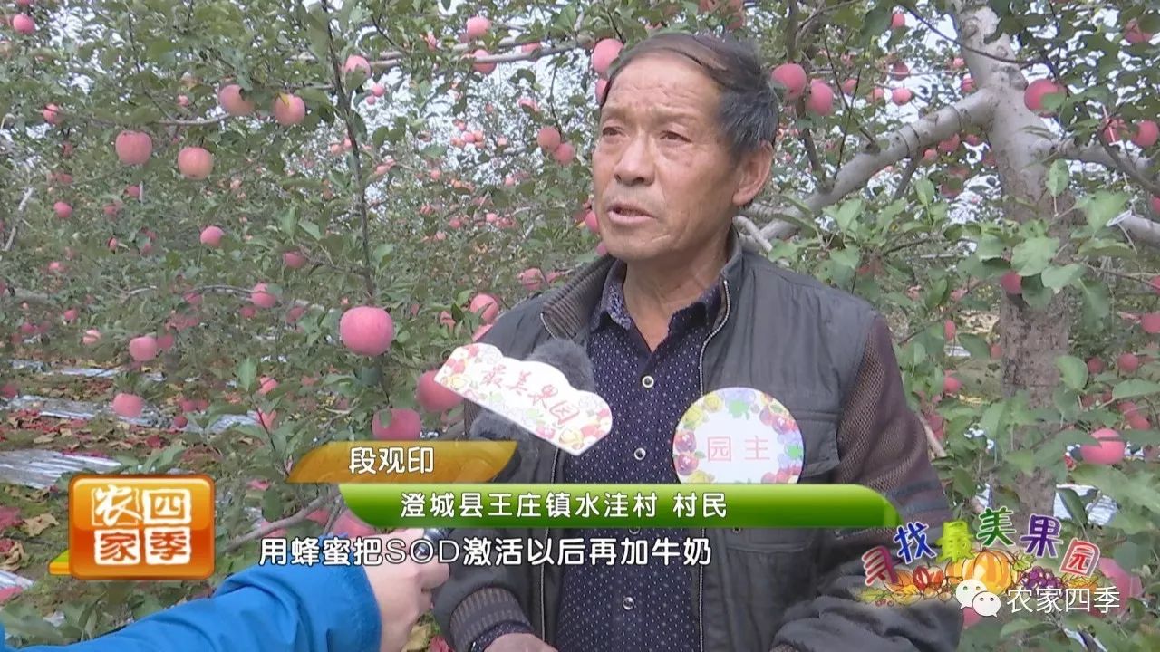 段关印澄城县王庄镇水洼村:这个是诱虫灯,我现在是一套灯板带我们全用