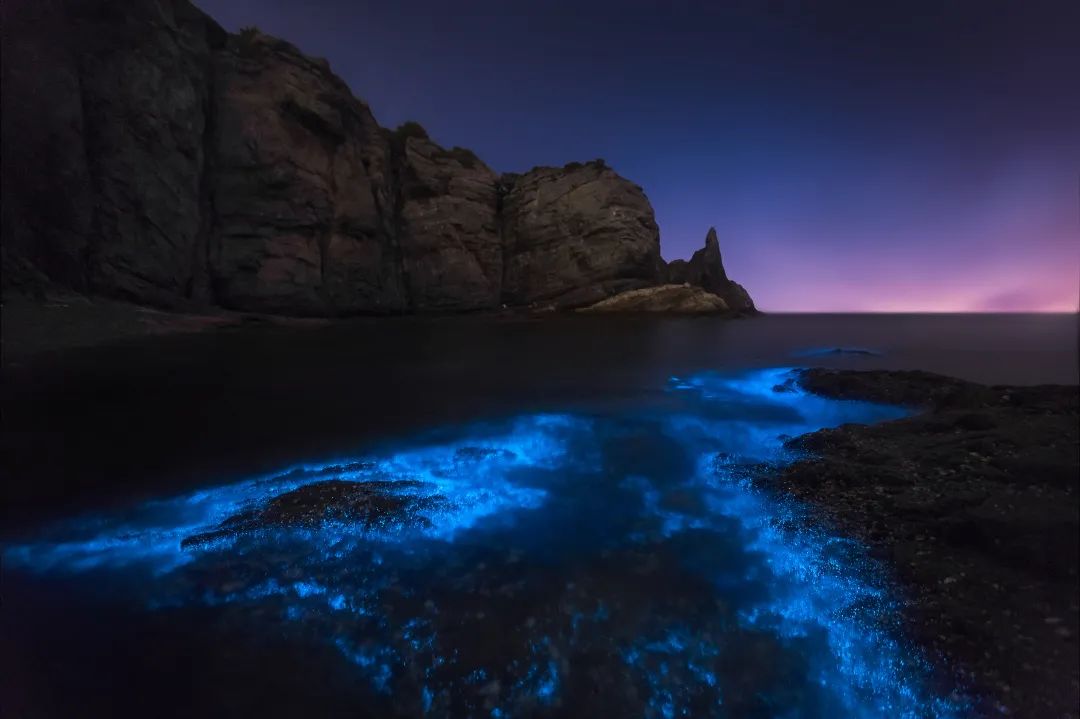 星辰大海|崇武,大岞多地"蓝眼泪"梦幻来袭,快来追泪!