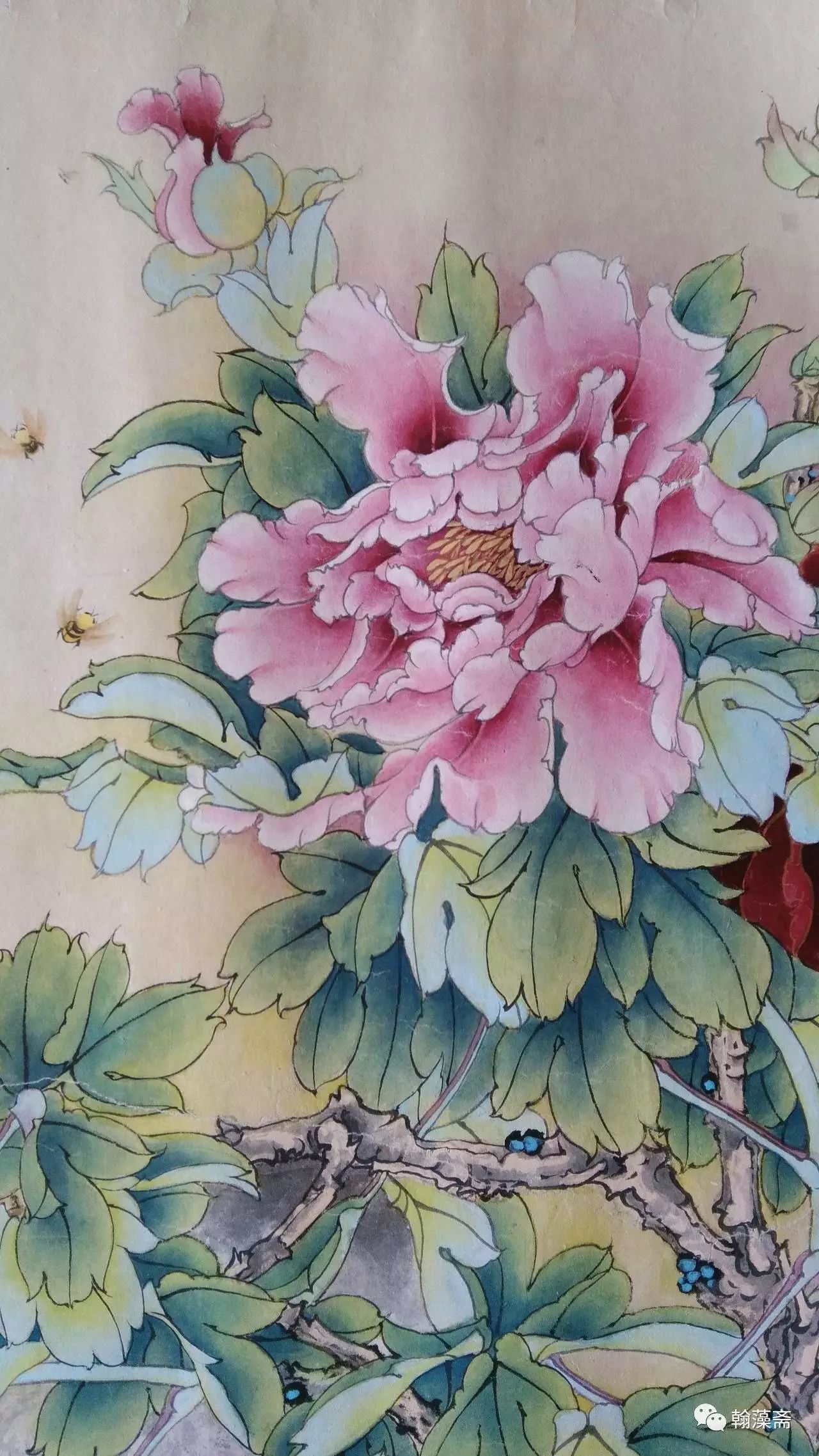 唯有牡丹真国色,花开时节动金城——陈映筠工笔牡丹欣赏